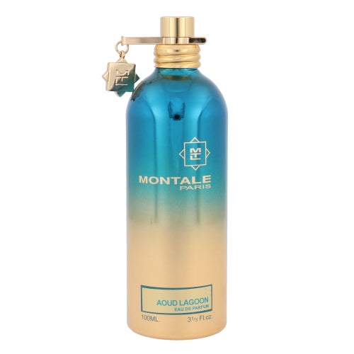 Montale Paris Aoud Lagoon EDP (50ml) meestele