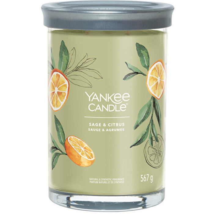 Yankee Candle Šalavijų ir citrusinių vaisių firminė žvakė stiklinėje (šalavijų ir citrusinių vaisių)